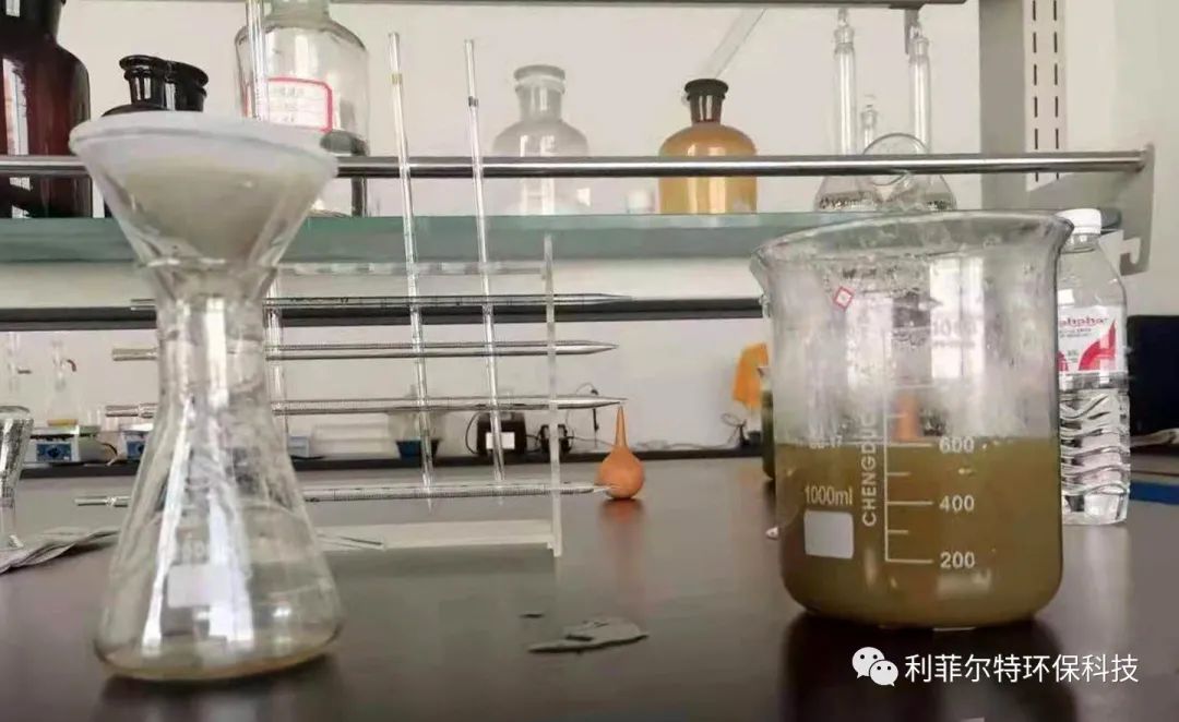 微信圖片_20220805150248 微信圖片_20220805150248